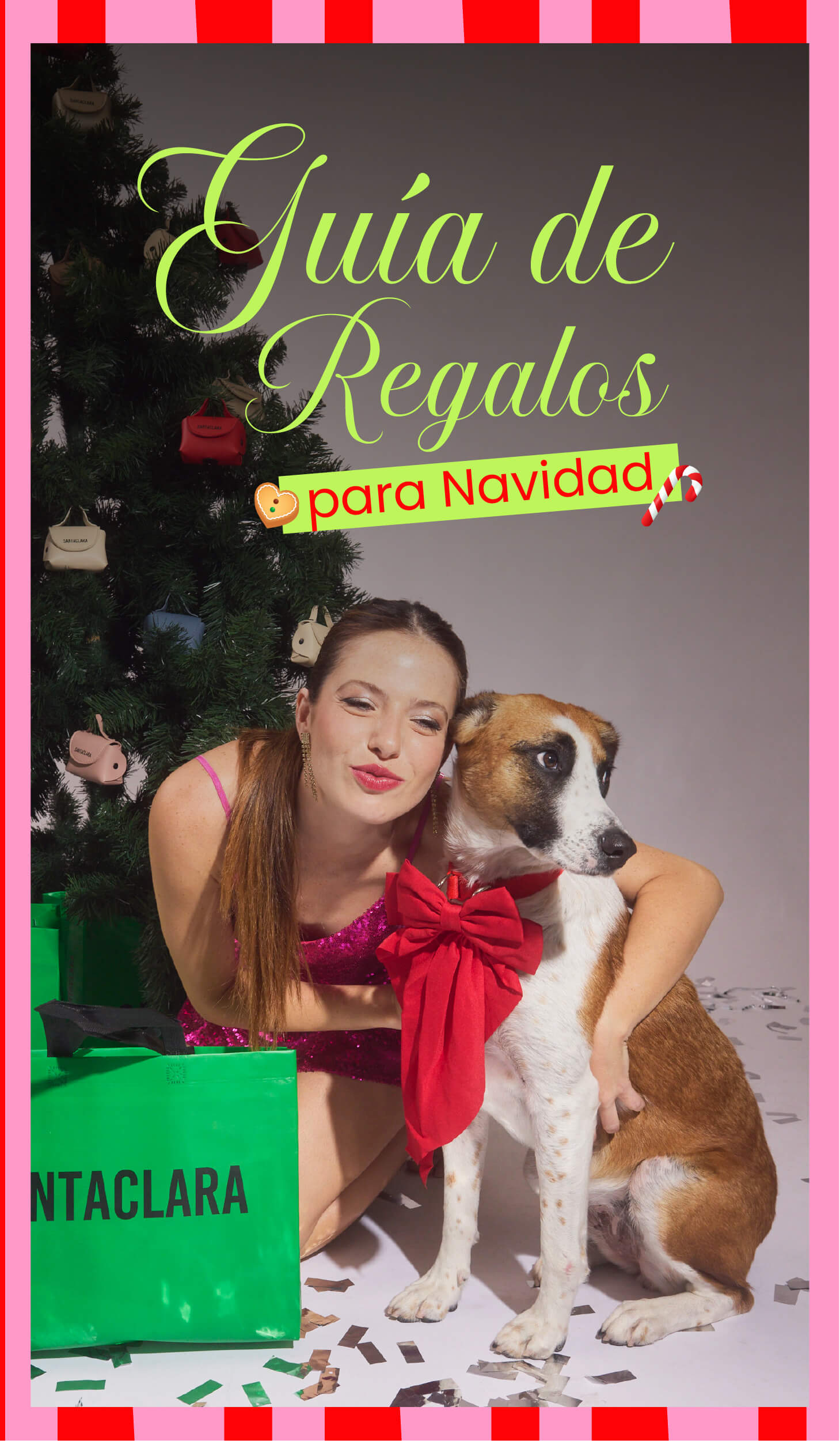 Guia de regalos para navidad Santaclara