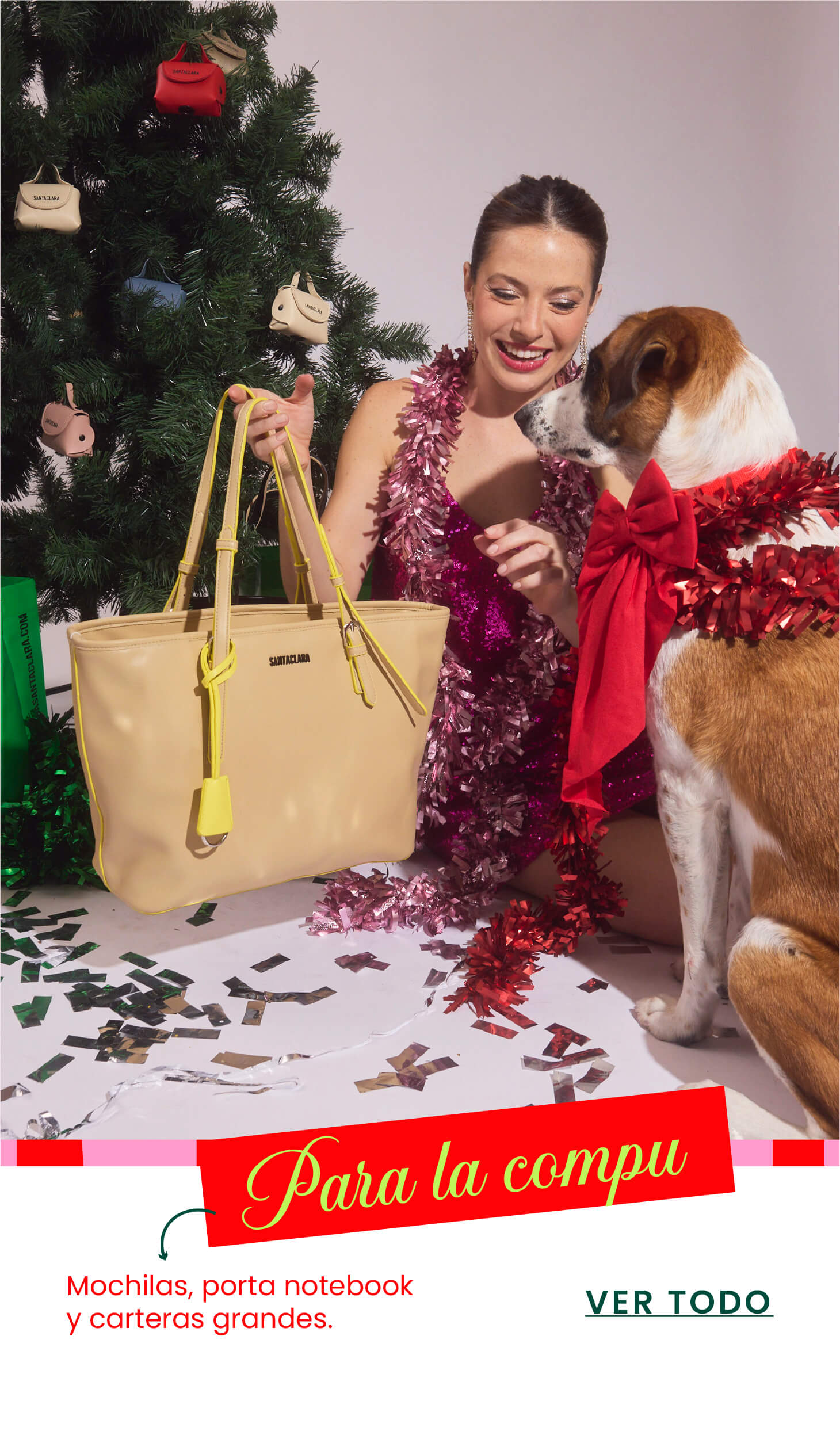 Carteras para notebook, mochila porta notebook Santaclara